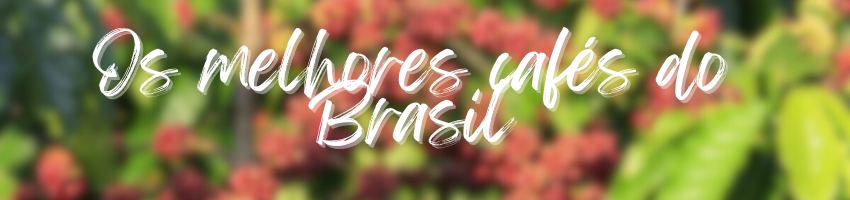 Banner cafes do brasil