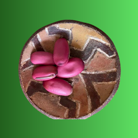 sementes vitrine-lancamento