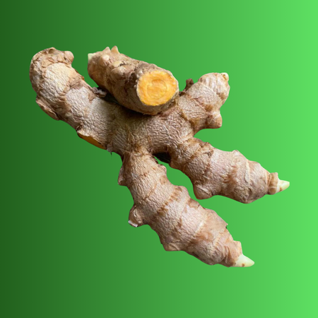 raizes vitrine-lancamento