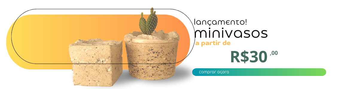 Vasos decorativos - promoção