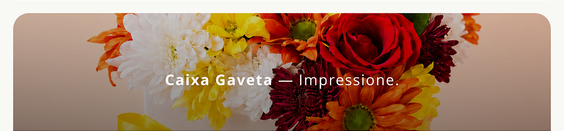 [GAVETA] vitrine-23718443