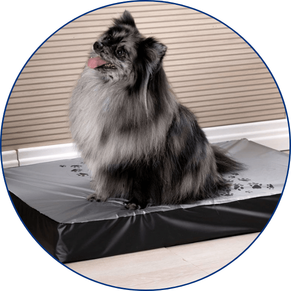 Pets vitrine-mas-vendido