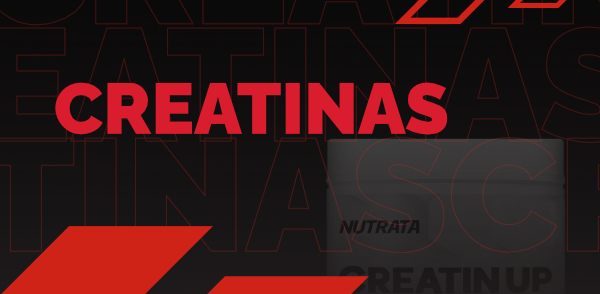 Mini 2 vitrine-mini mobile