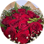 Banner Categoria 1 vitrine-lancamento