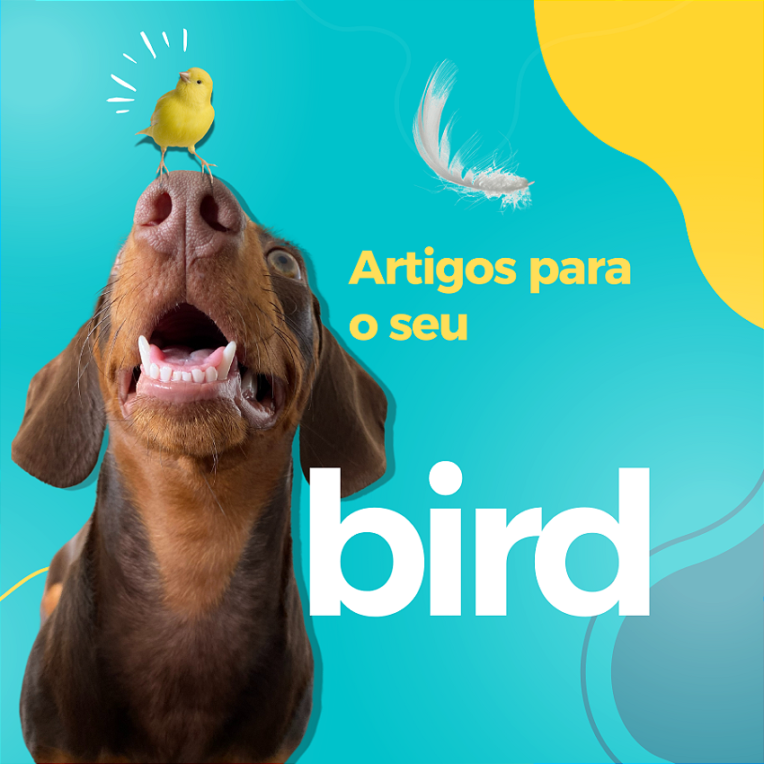 Mini 3 vitrine-mini mobile