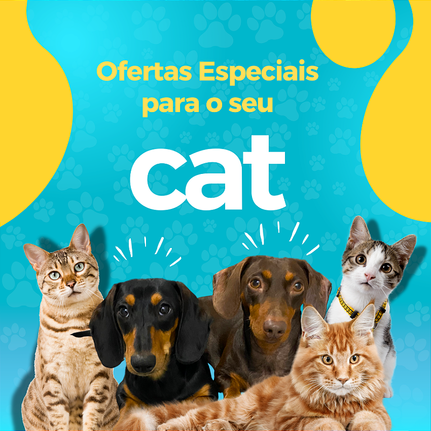 Mini 2 vitrine-mini mobile