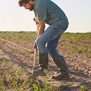 9 - Icone Rural vitrine-destaque