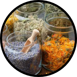 Mini banner Ervas vitrine-lancamento