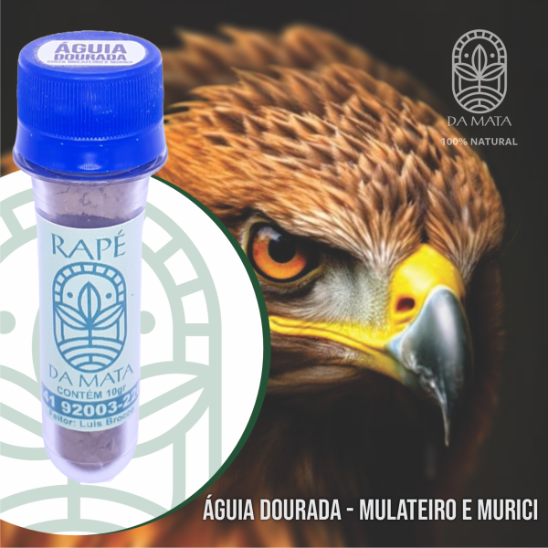 Águia Dourada  vitrine-mini