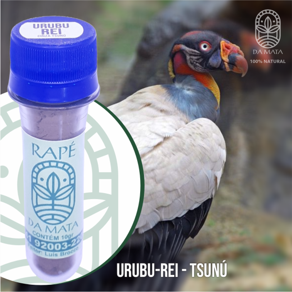 Urubu-Rei  vitrine-mini