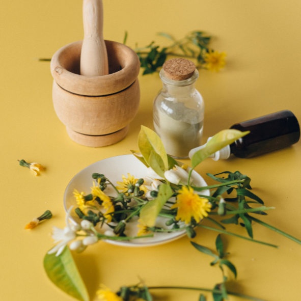 Banner categoria saude holistica vitrine-lancamento