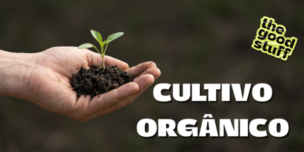 Cultivo_Organico vitrine-mini