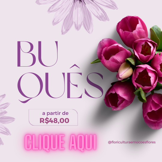 Mini 1 vitrine-lancamento