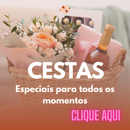 Mini 2 vitrine-lancamento