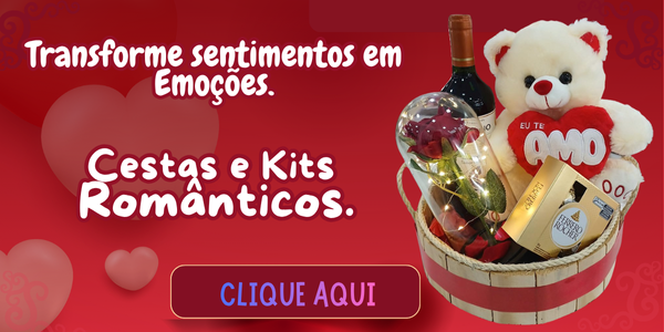 Mini 2 vitrine-lancamento