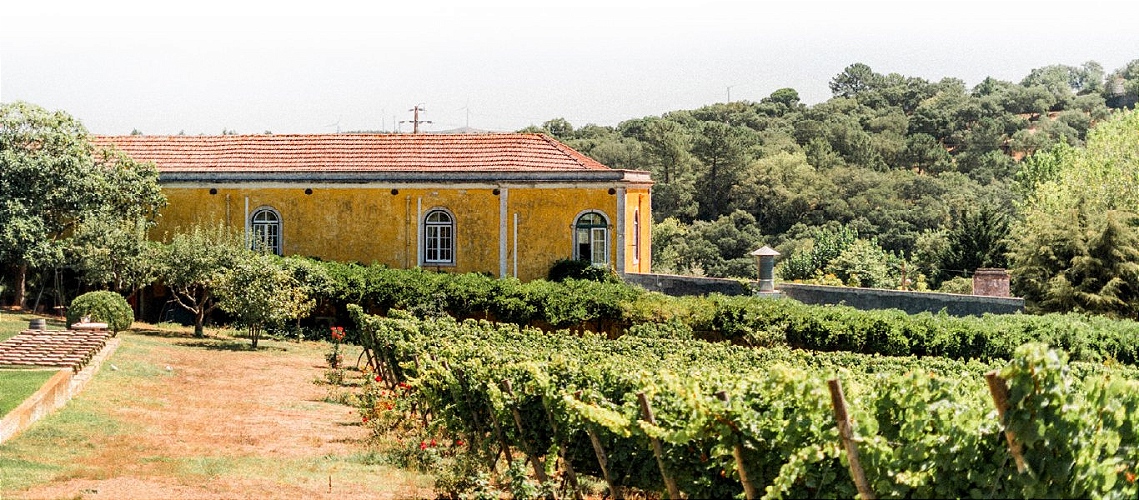 Quinta de Sant’ana Mafra