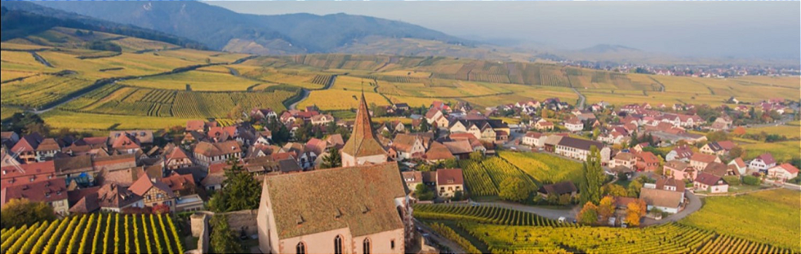 Domaine Mittnacht