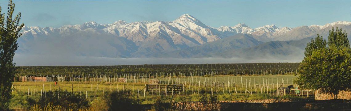 Gualtallary Wines