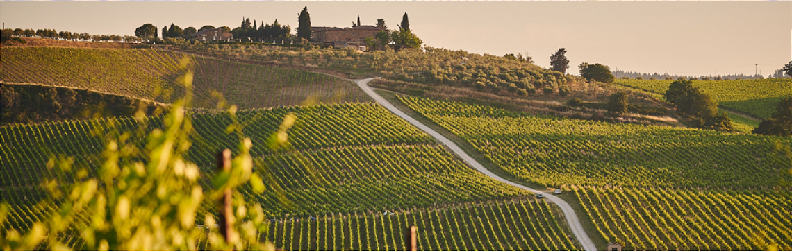 Cantine Minini