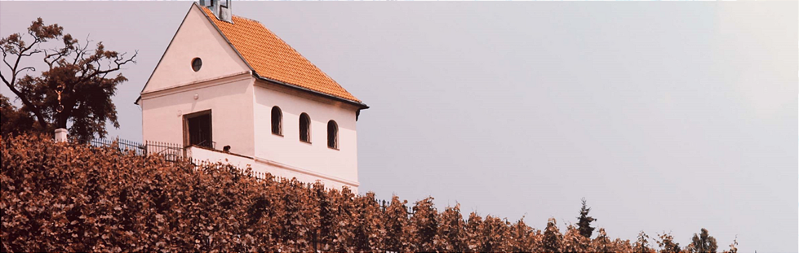 Domaine du Perè Guillot