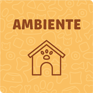 Ambiente vitrine-destaque