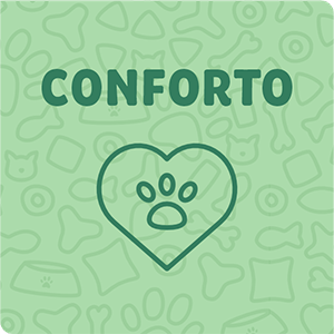 Conforto vitrine-destaque