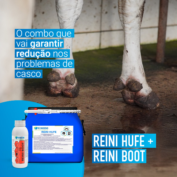 Banner 2 vitrine-mini