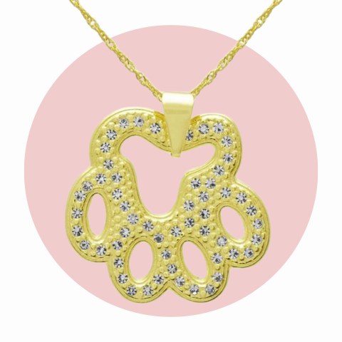 Cachorros vitrine-destaque