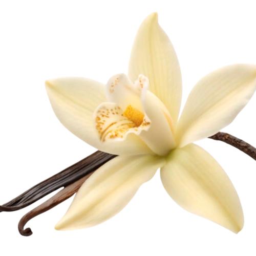 Banner Categoria 1 vitrine-destaque