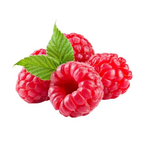 Banner Categoria 7 vitrine-destaque