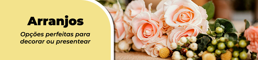 Categoria - Arranjos