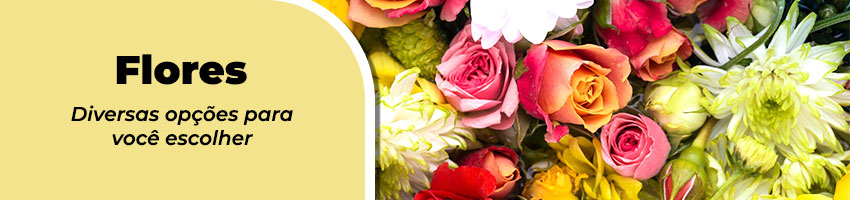 Categoria - Flores