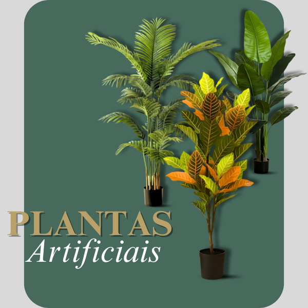 Plantas vitrine-mini