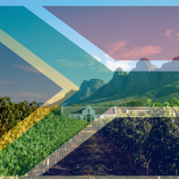 cat01 vitrine-24093944