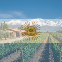 cat00 vitrine-24093944