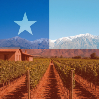 cat03 vitrine-24093944