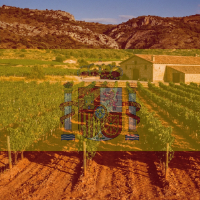 cat04 vitrine-24093944