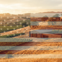 cat05 vitrine-24093944