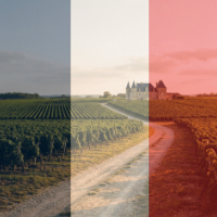 cat06 vitrine-24093944