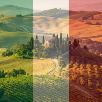 cat07 vitrine-24093944