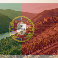 cat08 vitrine-24093944