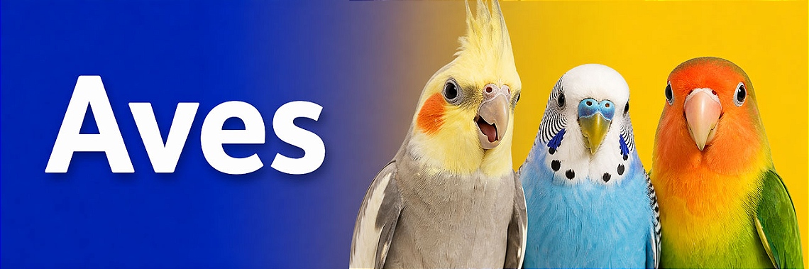 Aves
