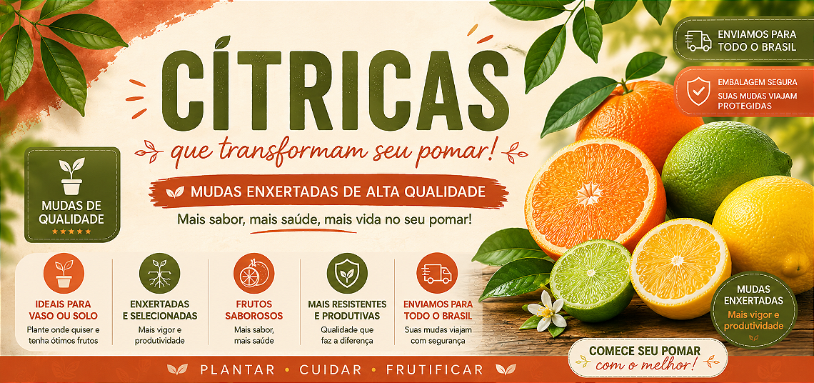 Banner Cítricas vitrine-24355203