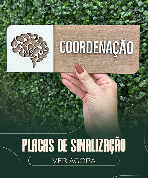 25-01-29-PLACAS vitrine-mini mobile