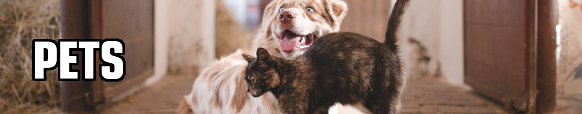 PETS
