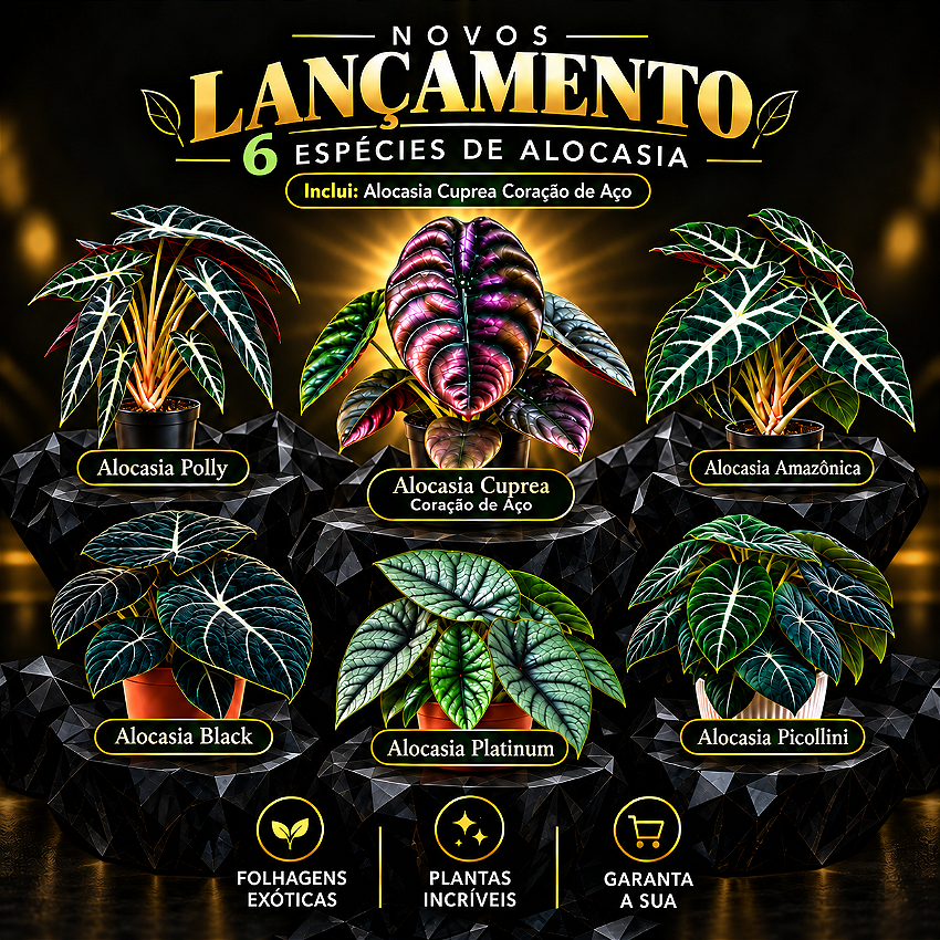 Banner Extra 1 vitrine-lancamento