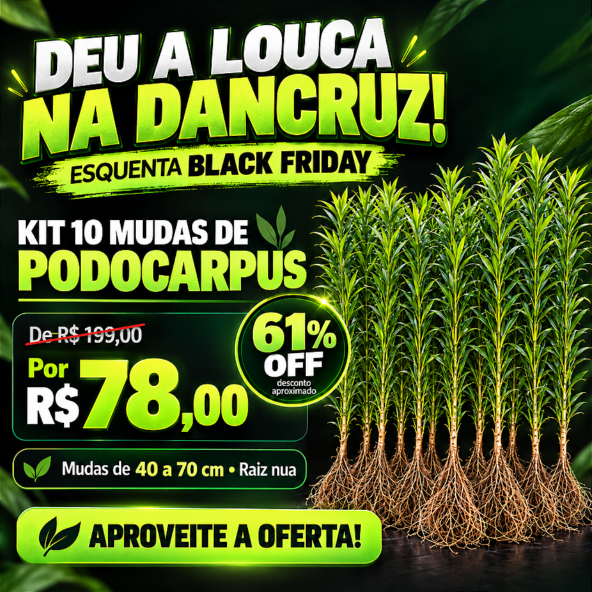 Banner Extra 1 vitrine-lancamento