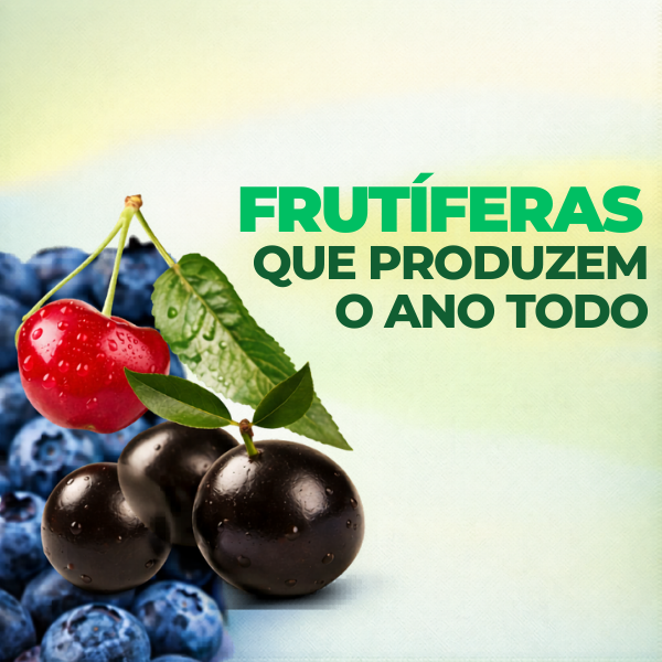 Banner Extra 2 vitrine-mas-vendido