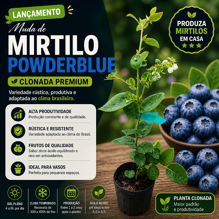 Banner Extra 1 vitrine-lancamento