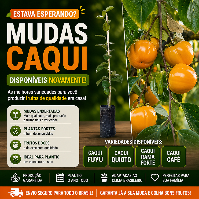 Banner Extra 2 vitrine-mas-vendido